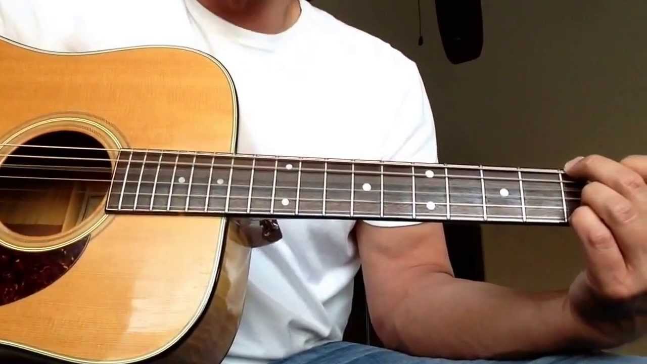 Hohner HG-340 1978 acoustic guitar