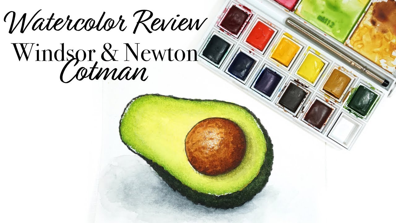 Winsor & Newton Cotman Review // Watercolor Time-lapse Illustration