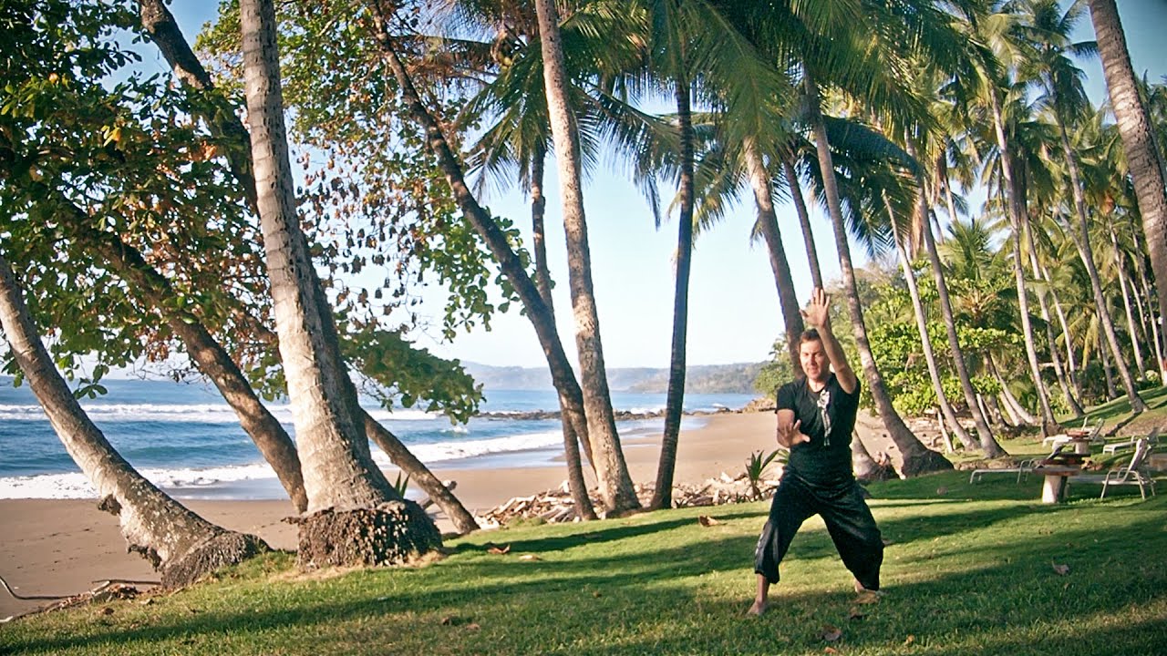 Zhong Xin Dao I Liq Chuan Austria - 21 Form in Costa Rica