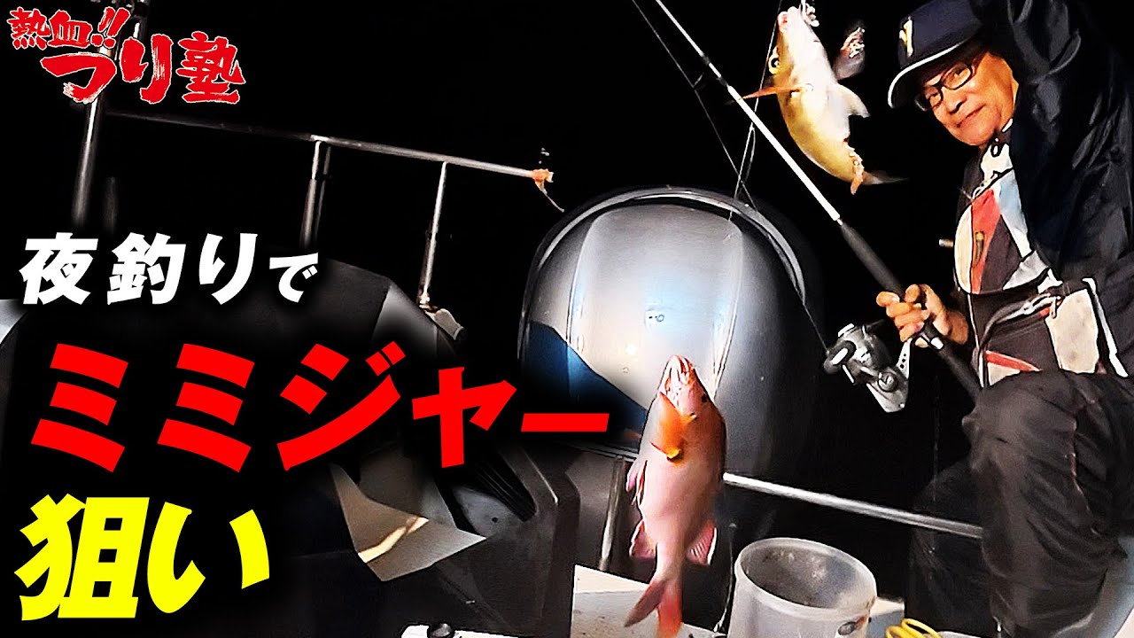 夜釣りでミミジャー狙い
