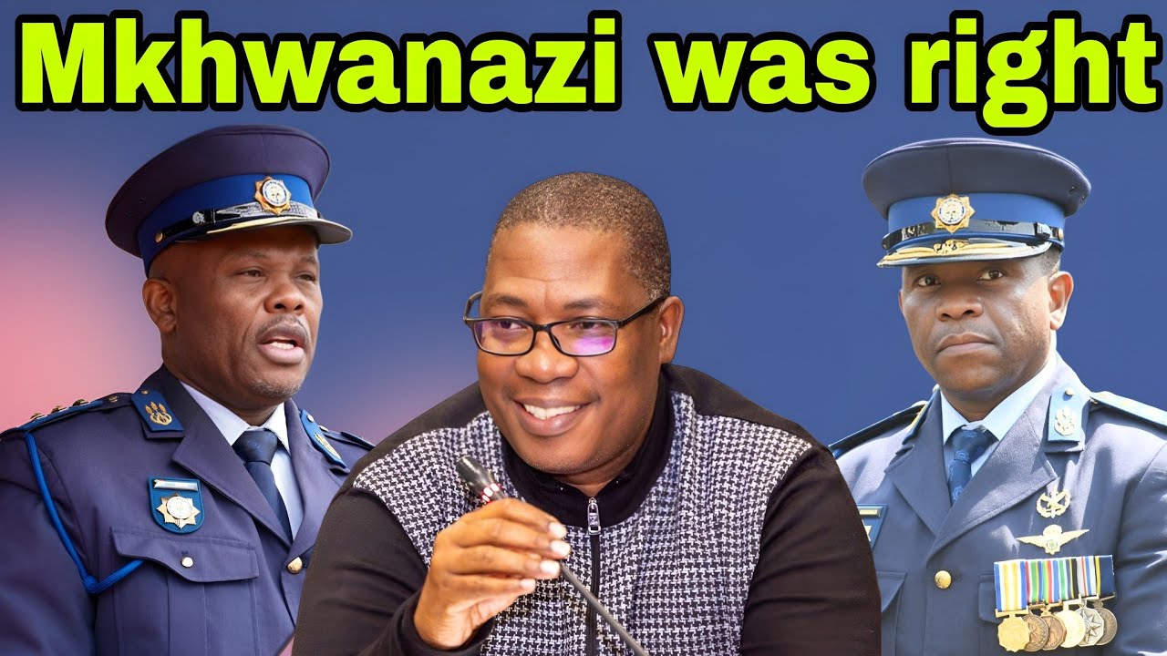 General Mkhwanazi proves them wrong again. Panyaza Lesufi. Amapanyaza are illegal.