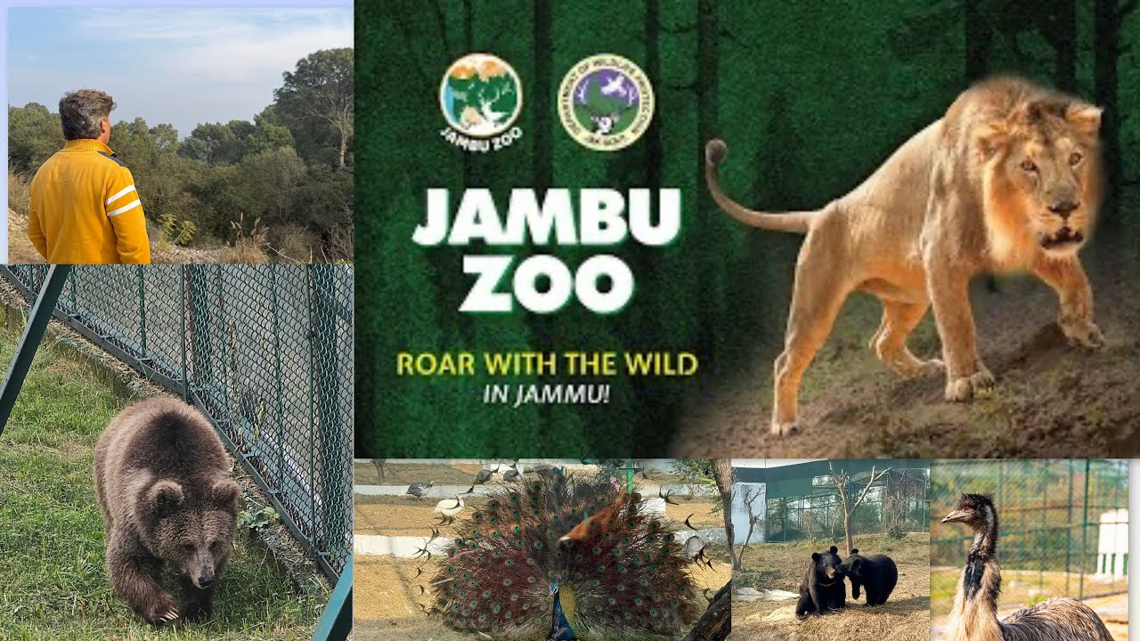 JAMBU ZOO || JAMMU || NORTH INDIA,S BiGGEST ZOO ||