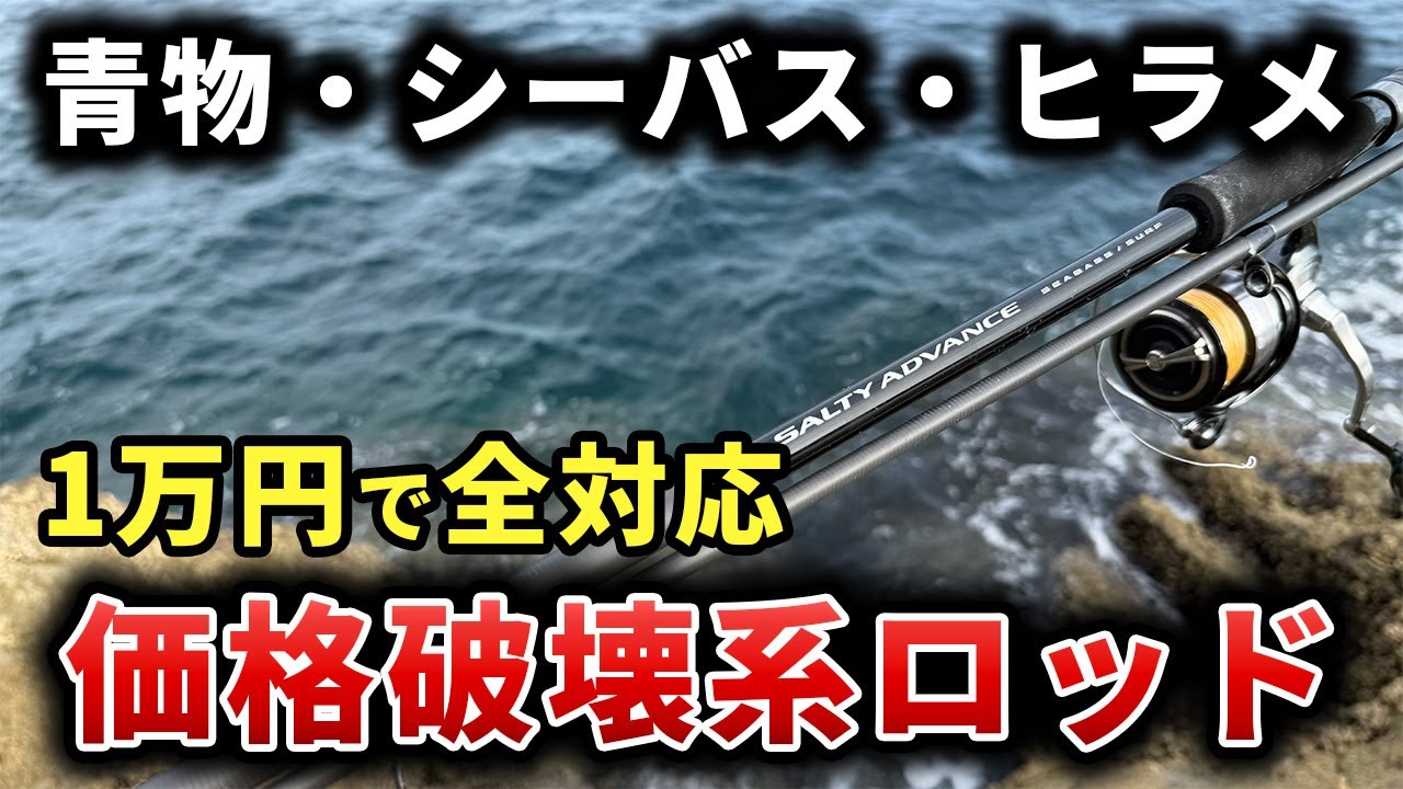【1万円】買って後悔しない超コスパ系万能ロッドが出た！初のライトショアジギングで爆釣【25ソルティーアドバンス実釣インプレ】