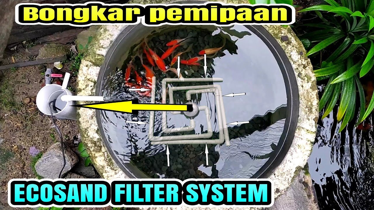 video pemipaan beserta proses pembuatan kolam ecosand filter system