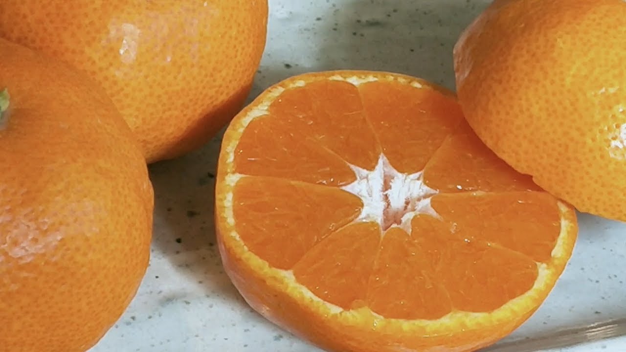 日本生まれの柑橘・温州みかん
