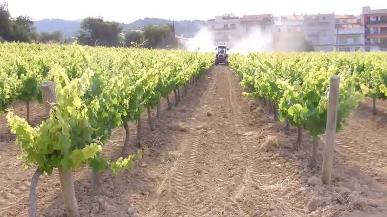 Video Saher Atomizador remolcado standard