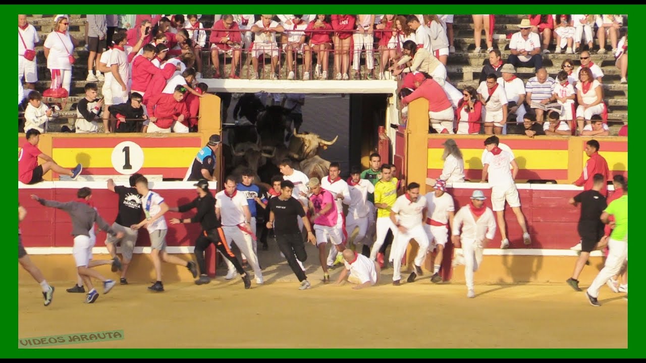 TUDELA ( NAVARRA ) MATINAL VACAS EN PLAZA (MARTES 25 JULIO 2023 ) GANAD.HNOS.GANUZA
