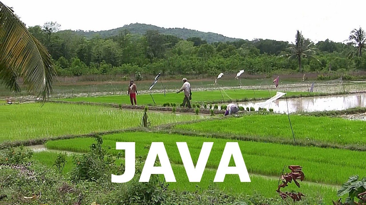 INDONESIA: Java island