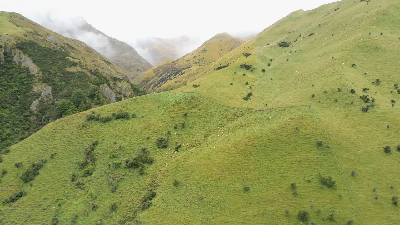 Highlands / Song of Ascent (Lord of the Rings) (Kali Joy Cover)