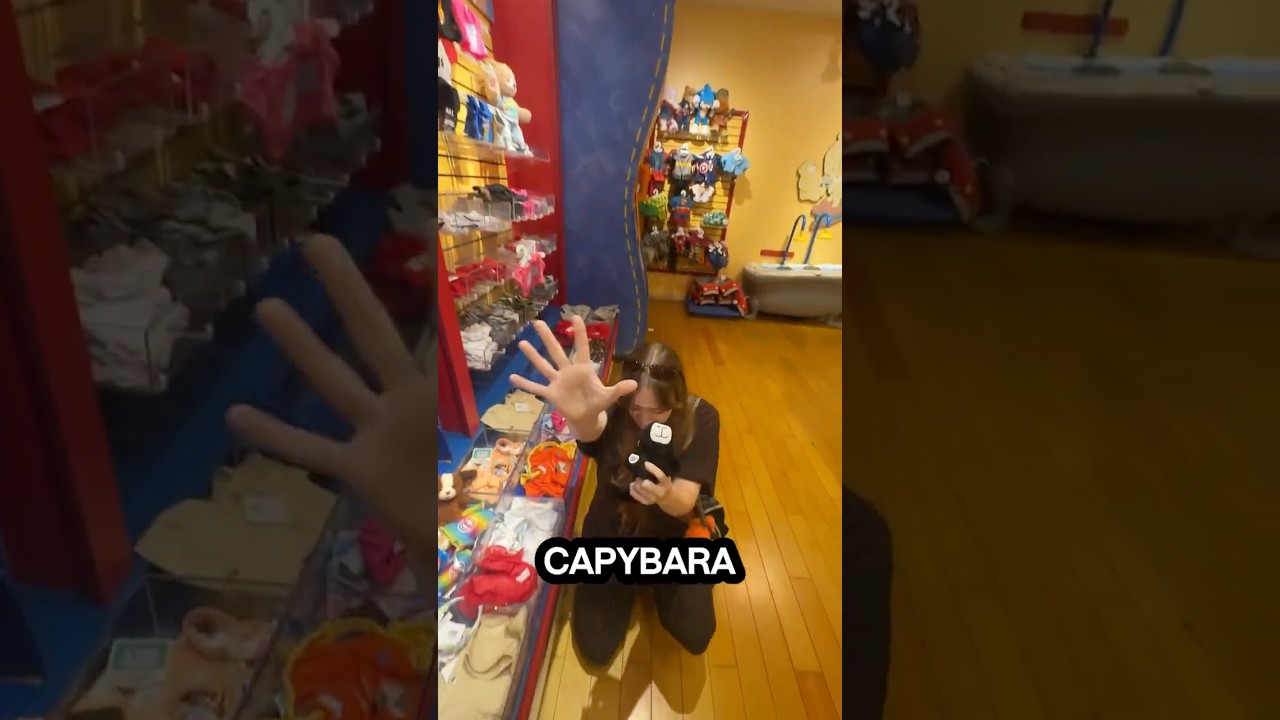 Устройте безумный шопинг с @AnnaandErin 🤯🧸💝
