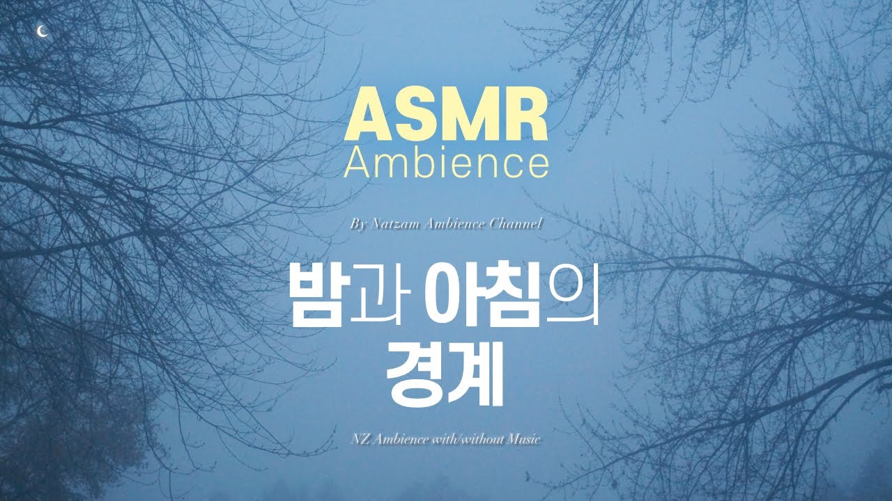 밤과 아침의 경계에서🌙고요한 독서와 집중을 위한 ASMR 앰비언스
