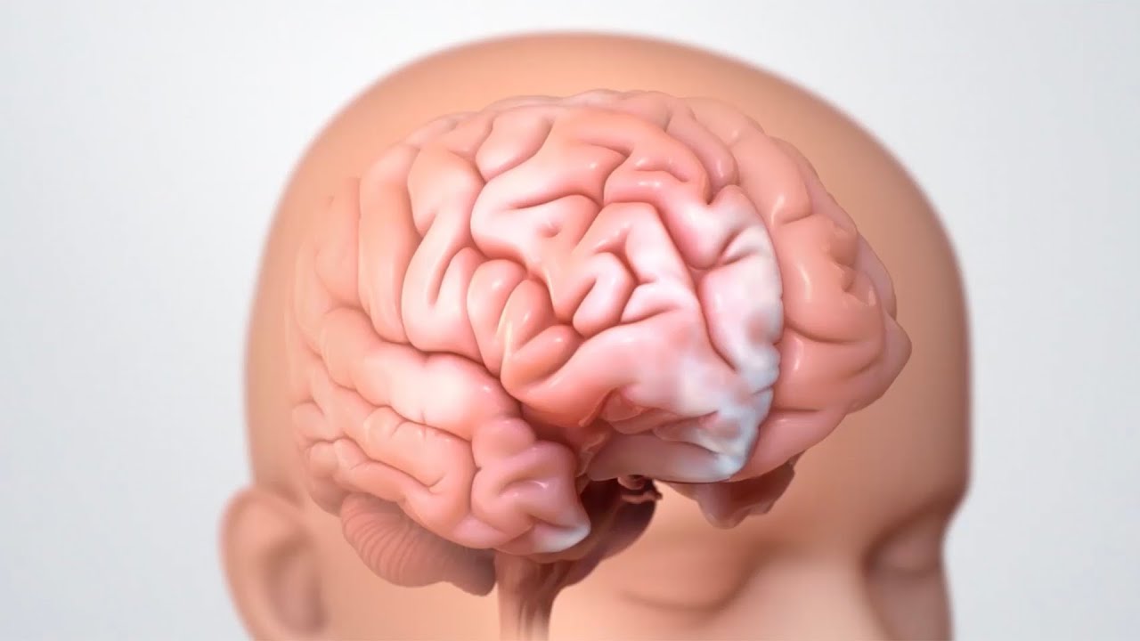 Understanding Epilepsy in Children