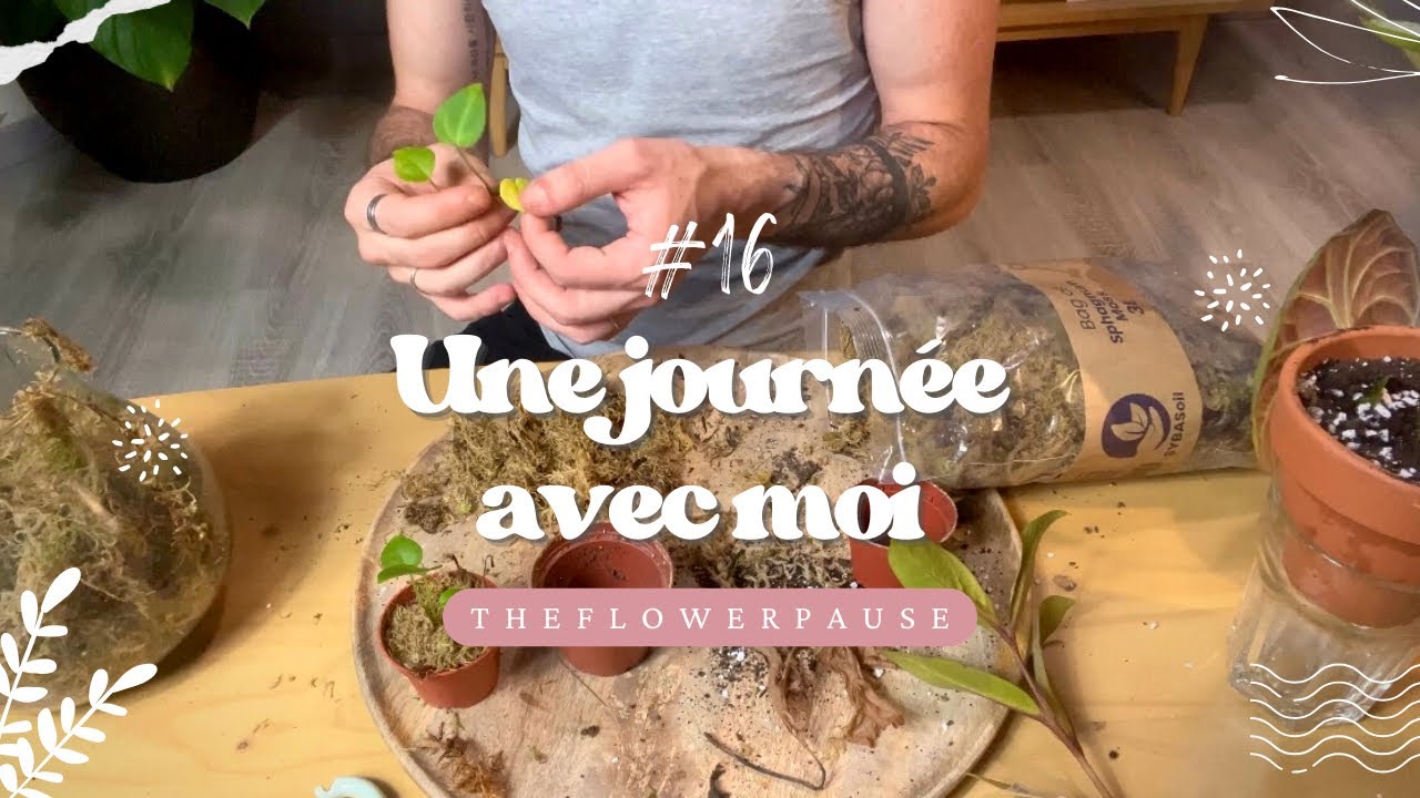 Une journée avec moi #16: Arrosage plantes & quelques updates 🪴