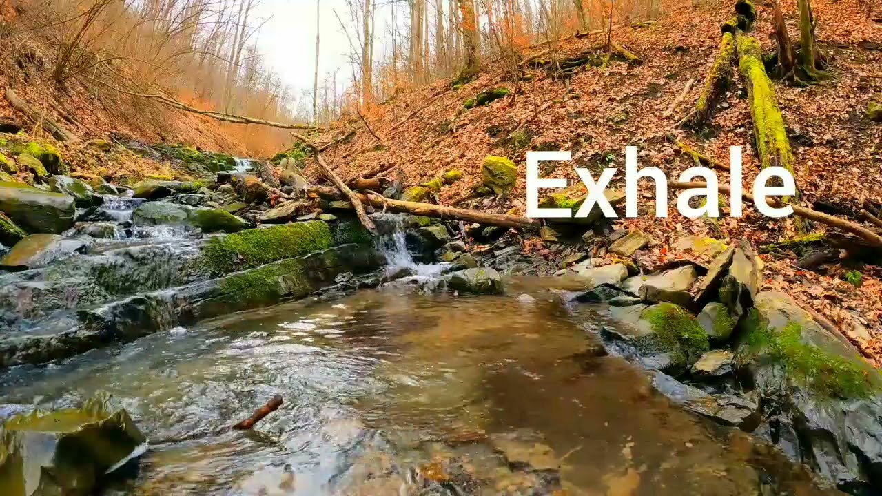 white noise | brown noise, gentle water sound Relaxing breathing, reduce stress | reduce anxiety