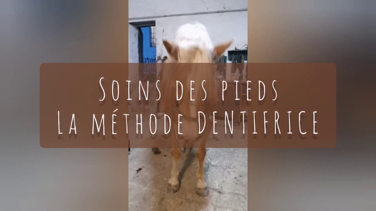 Soin des sabots - la méthode DENTIFRICE