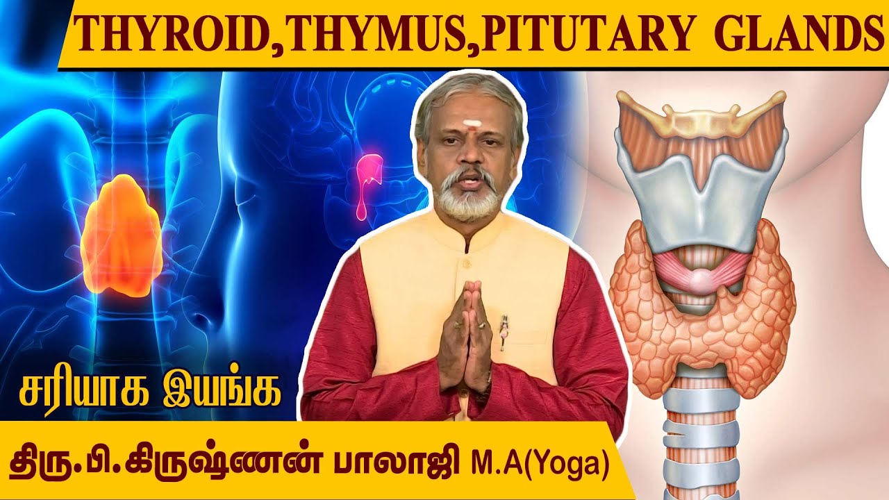 Thyroid, Pineal,Pancreas சுரப்பிகளுக்கு ஒரே யோகா போதும்  l Krishnan Balaji @MEGA TV ​