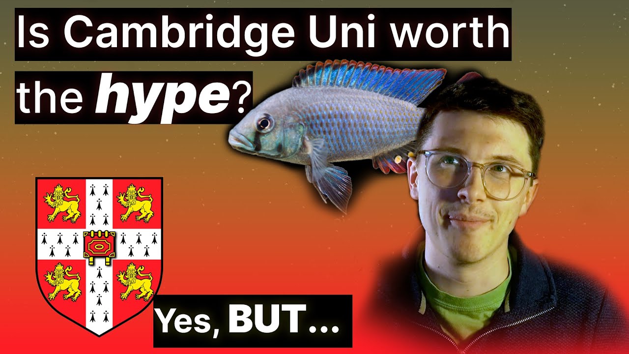 3 Months After Cambridge University: My Honest Thoughts | Unveiling The Secrets + Must You Apply?
