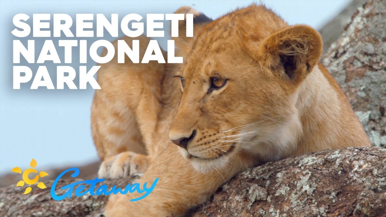 Serengeti National Park | Getaway 2019