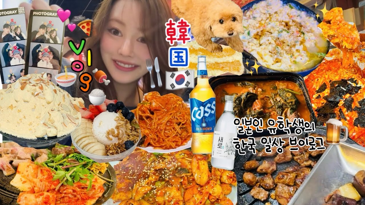 【韓国留学vlog】留学はこうでなくちゃ🥹‼️私にもオッパとオンニができました🇰🇷❤️