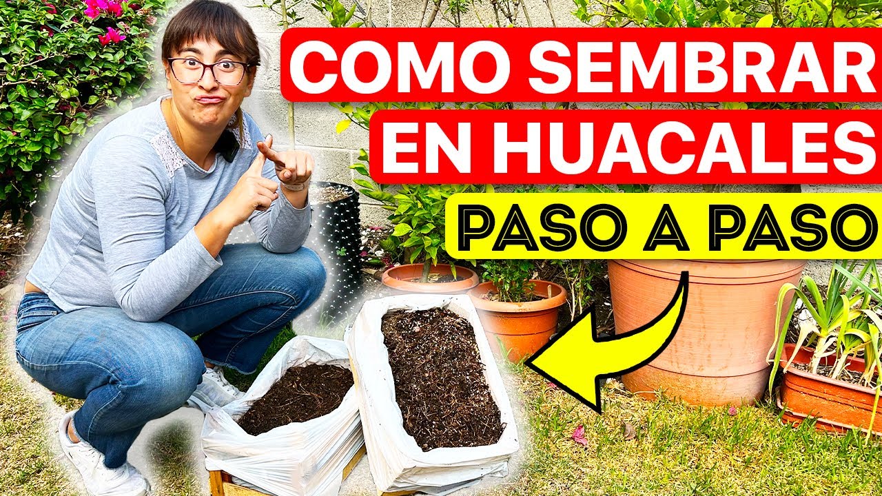 ❌ 5 ERRORES que TIENES QUE EVITAR al SEMBRAR en HUACALES 🌻 ¿Qué se puede plantar?