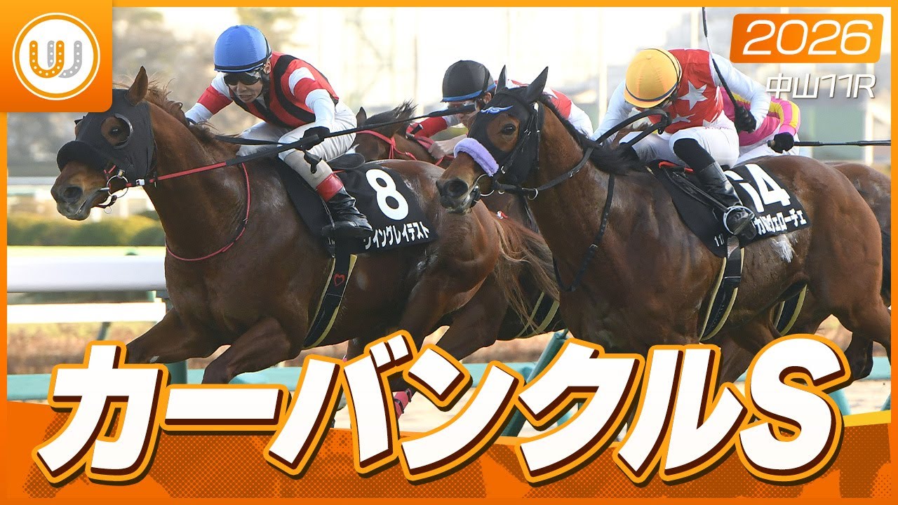 【レース映像】中山11R カーバンクルステークス｜ウイングレイテスト（松岡正海）｜ウイニング競馬