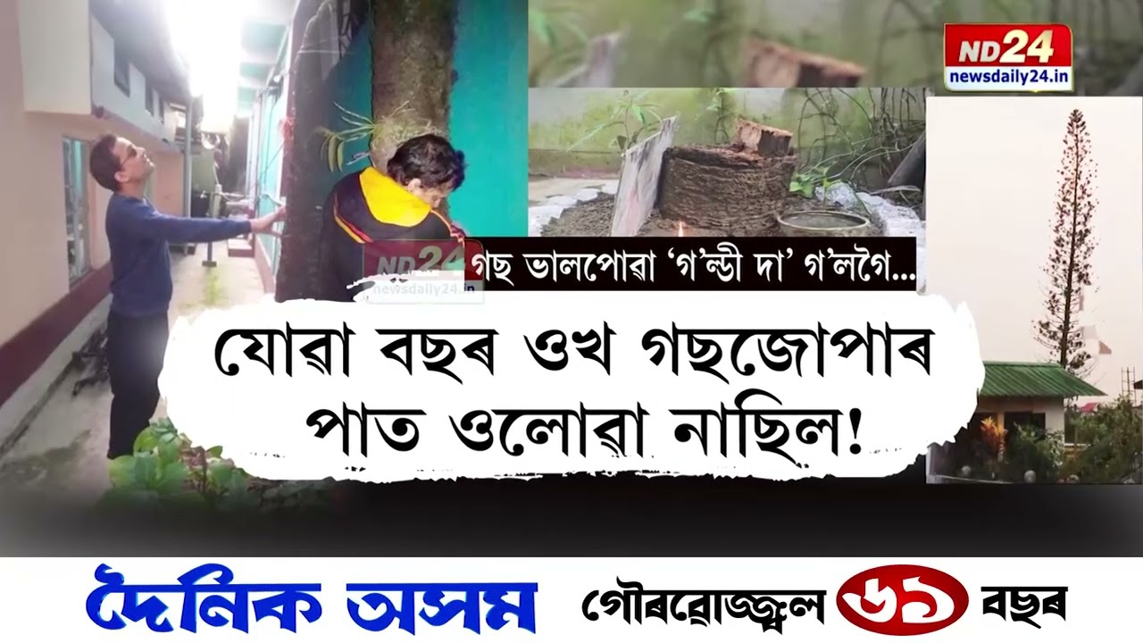 এজোপা পাইন গছ আৰু জুবিন গাৰ্গ!