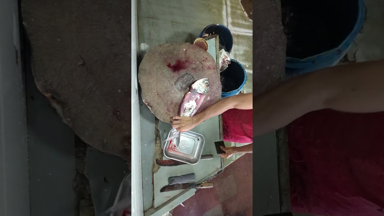 Vatta fish cutting video #vatta #fish #youtubeshorts #newvideo 