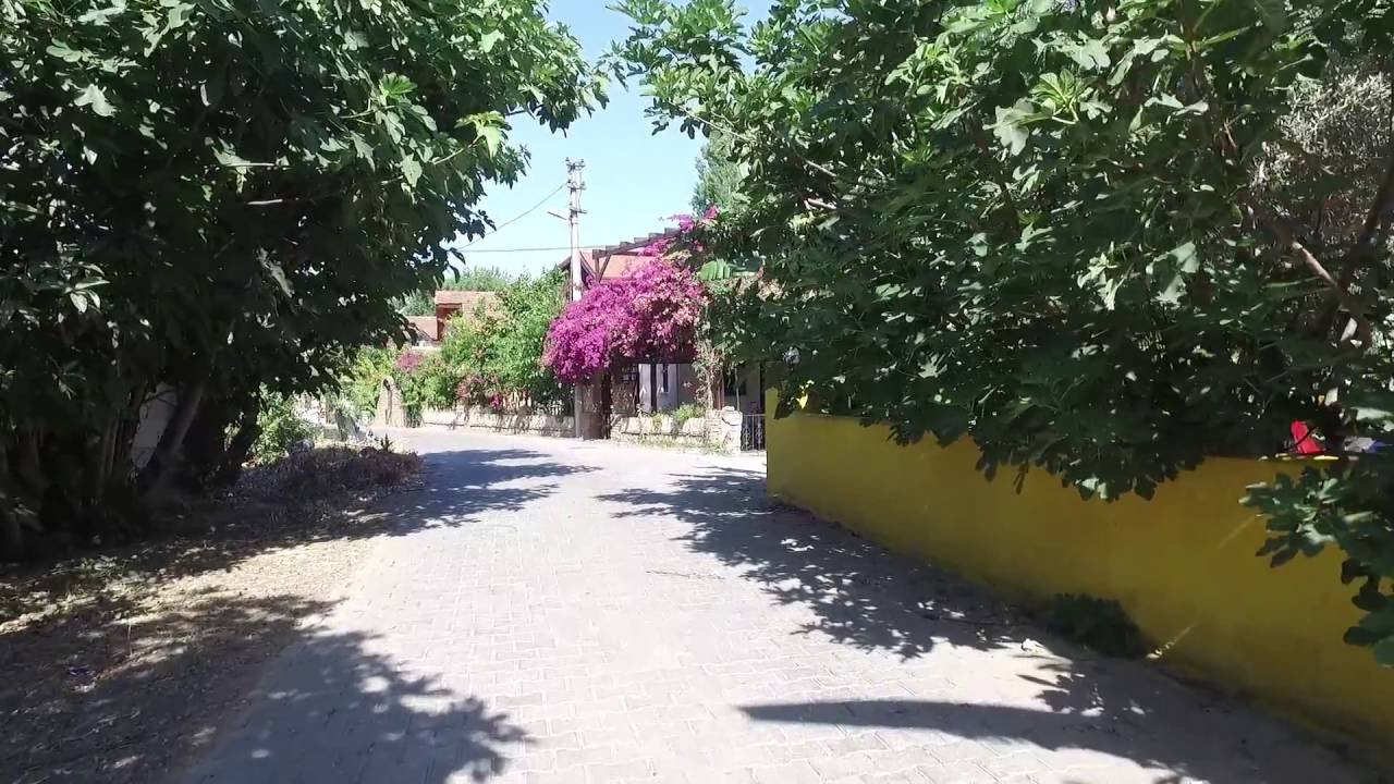 Dalyan Camping Giriş, Bungalow ve Bar