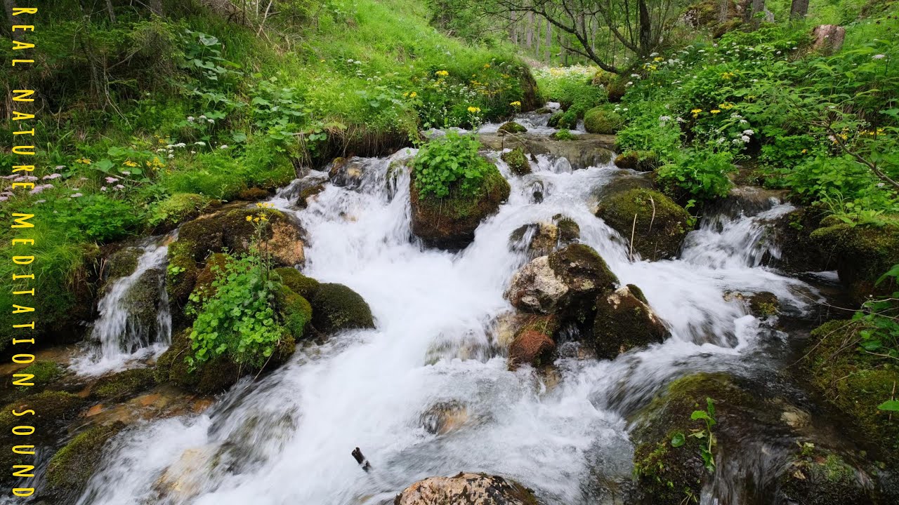 Waldbach in 4K - Naturger&auml;usche - Einschlafen - Lernen - Meditation -Entspannen - Relaxing Sounds