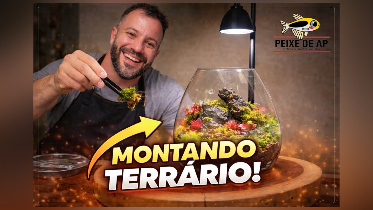 Como montar um terrário? Mostro um dos tipos