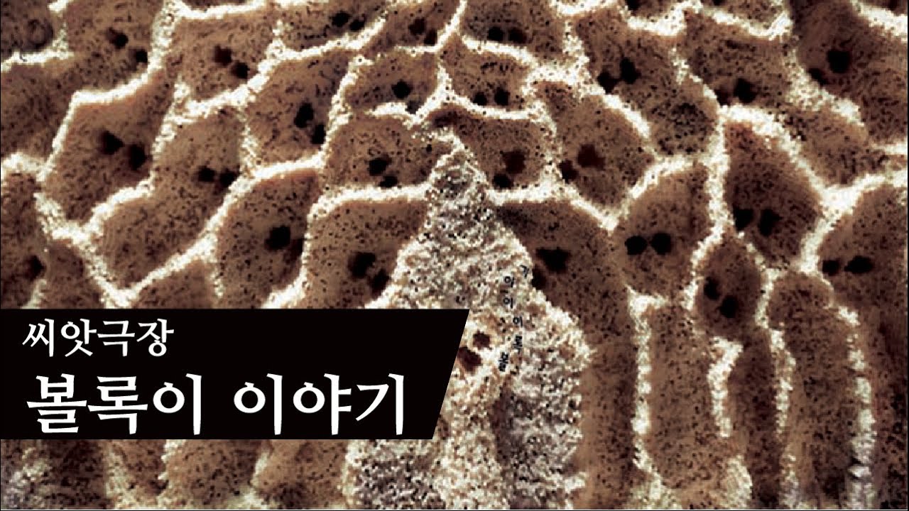볼록이 이야기 Bologee StoryㅣAniSEED