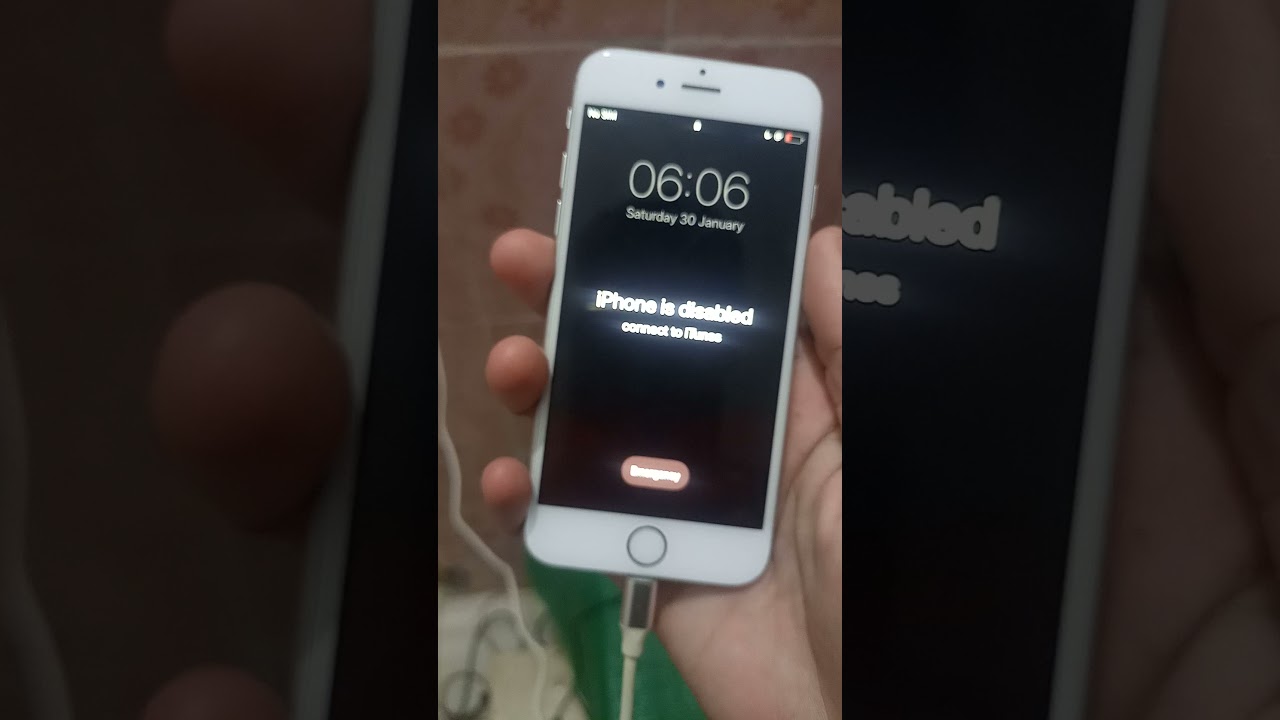 iPhone 6 Disable