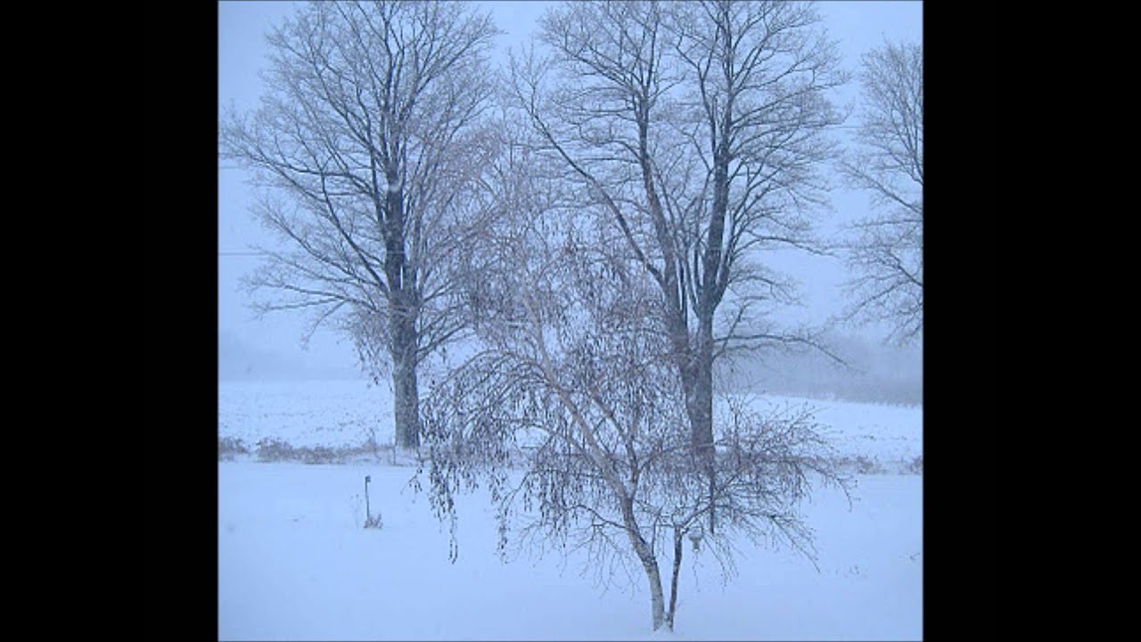 Mozart Piano Concerto NO. 20 in D Minor K.466 (on fortepiano)
