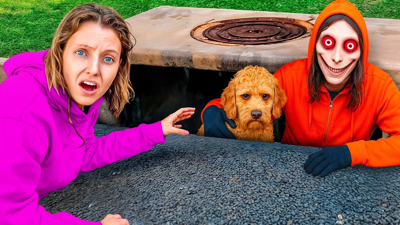 Жуткий незнакомец пытается украсть мою собаку!!