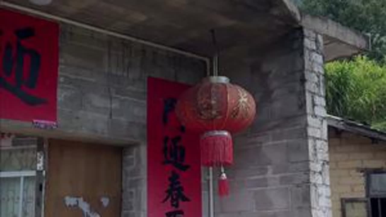 你们见过树上的八角吗？#八角#香料