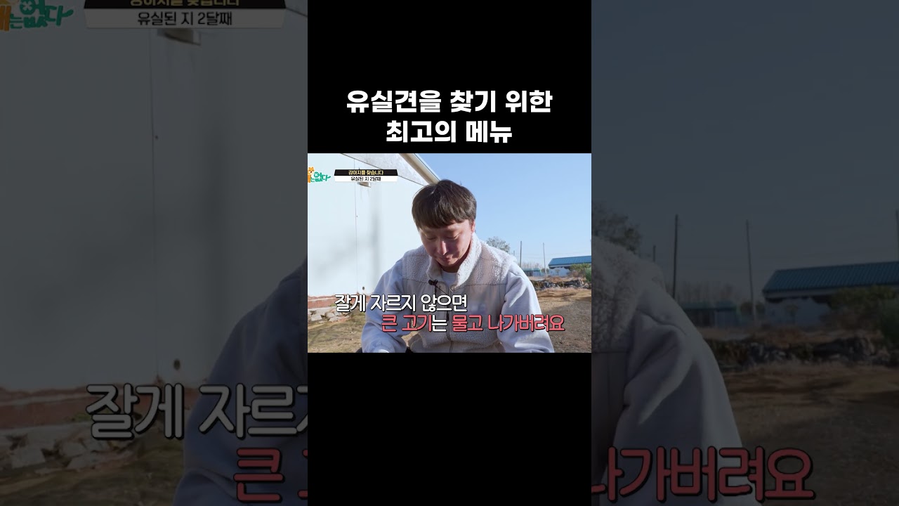 유실견을 찾기 위한최고의 메뉴 #왜그러냥귀엽개 #shorts
