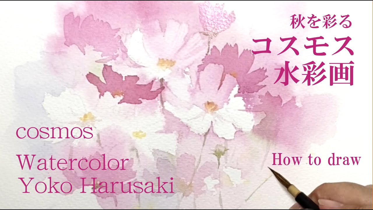 コスモス　　Harusaki  Watercolor　春崎陽子　秋桜　水彩画　描き方