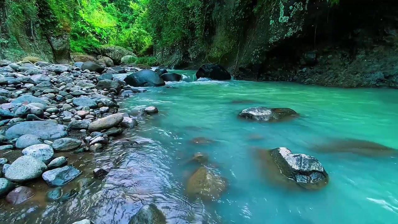 Mountain Stream Gentle Flow, Forest River Noise, Sleeping