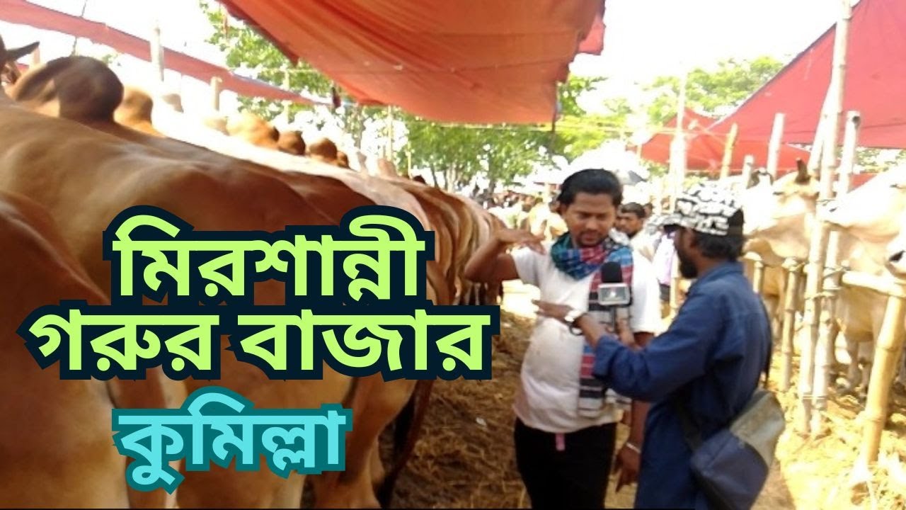 @আজ বুধবার  - মিরশান্নী গরুর বাজার। শেষ পর্ব।  ১৪/০৫/২০২৫ ইং।