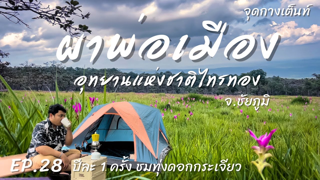 EP.28 ผาพ่อเมือง อุทยานแห่งชาติไทรทอง | จุดกางเต็นท์ | ชมดอกกระเจียวบาน จ.ชัยภูมิ