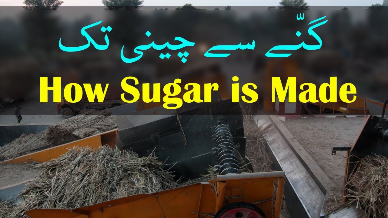How Sugar is Made || Shakar Sazi || Shahtaj Sugar Mills || Mandi Bahaudin