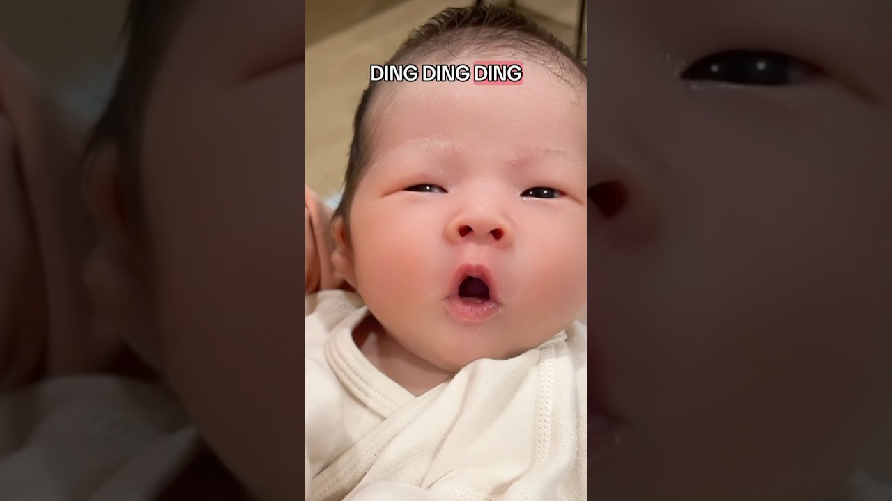 Sigma Baby Learns English 😂👶🏻 🦊(what does the fox say?)