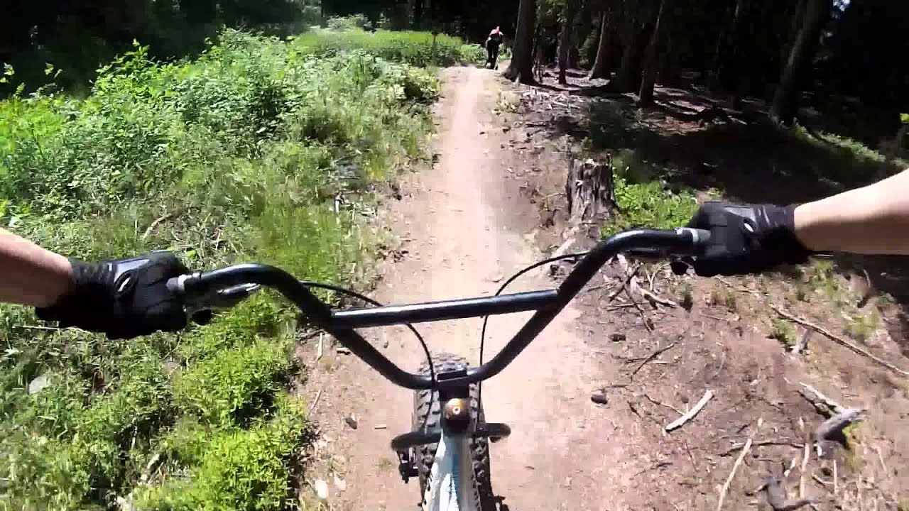 Monsterrollertour Zillertal Arena Downhill Austria