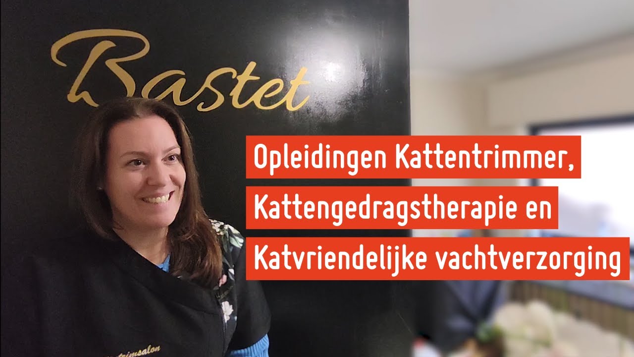 Opleidingen Kattentrimmer, Kattengedrag en Katvriendelijke vachtverzorging bij Syntra AB