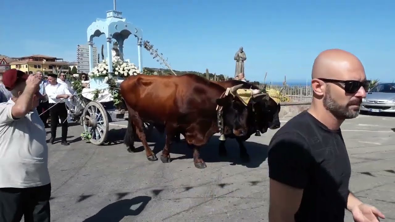 Processione/ Nostra Signora di Tergu/ 2019/8 Settembre/ Partenza/ 60Cavalli/ Carro a Buoi/ 3Km