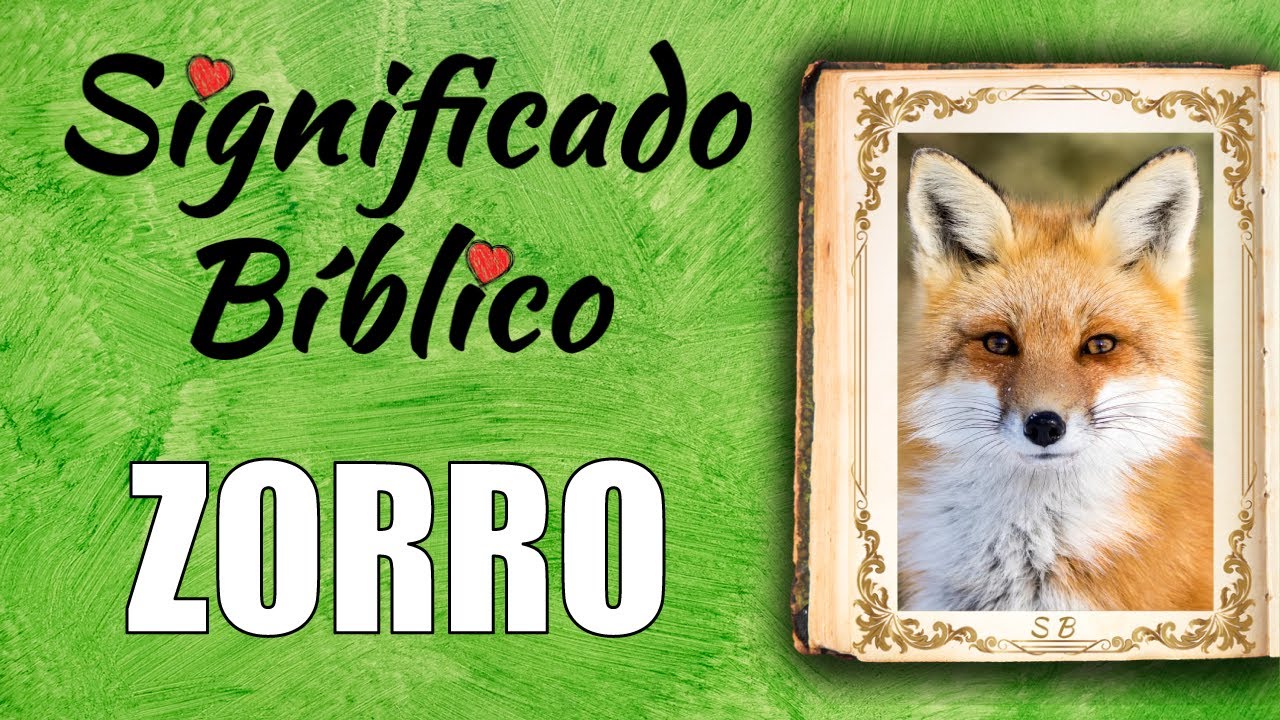 Zorro Significado Bíblico | ¿Qué Significa Zorro en la Biblia? 🙏