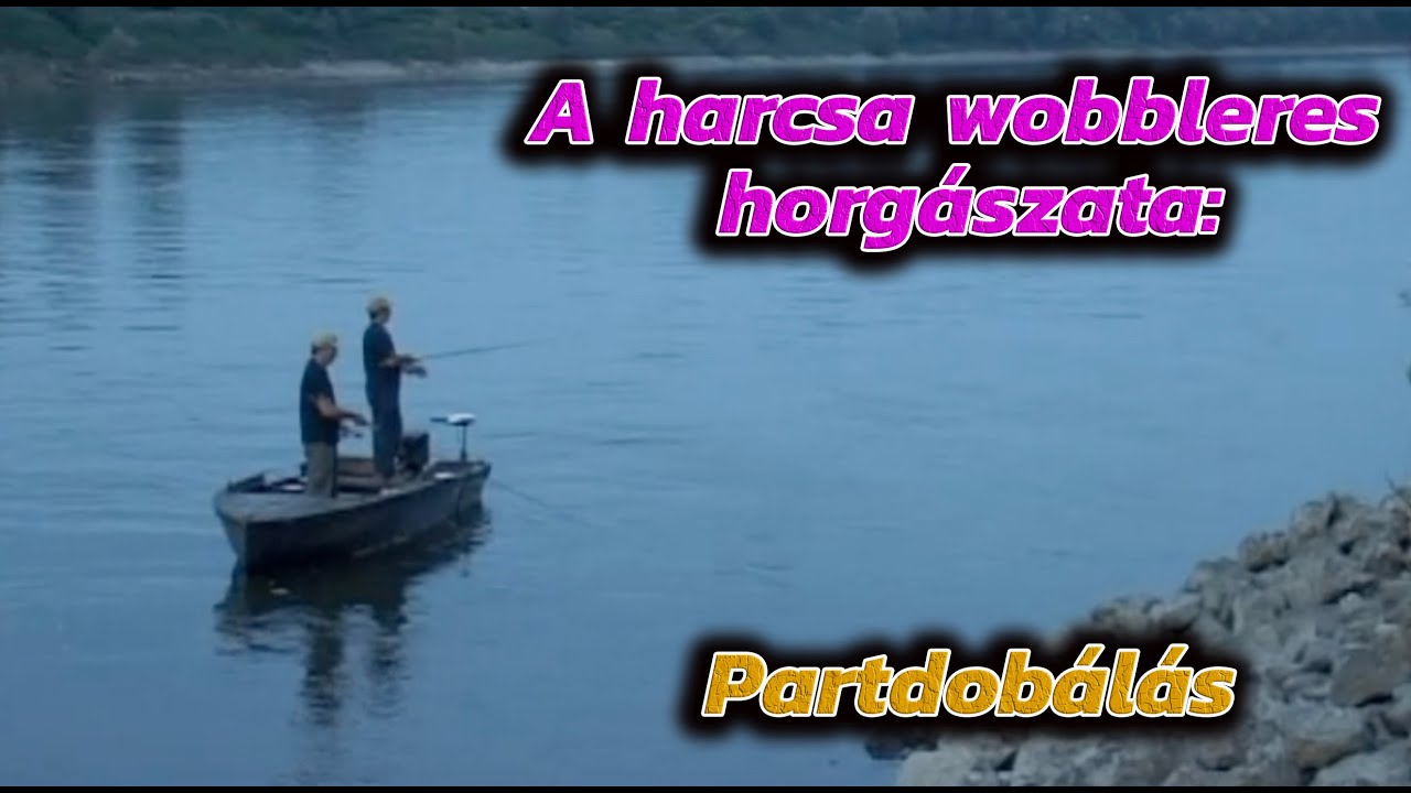 A harcsa wobbleres horgászata - Partdobálás
