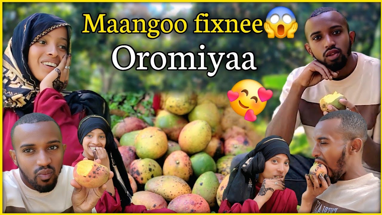 🔴Oromiyaa jiituu misraa woliin mangoo fixnee vlogii baadiyyaa🥰