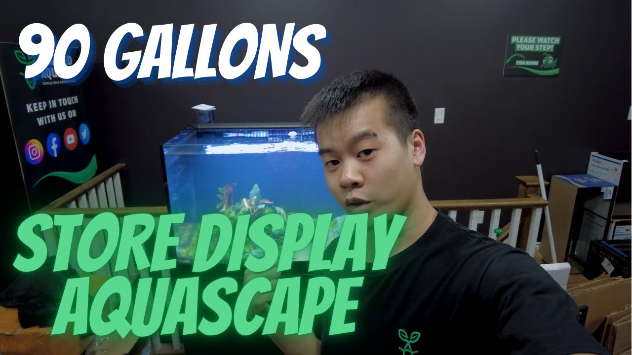 I ENDED UP SCAPING THIS HUGE TANK