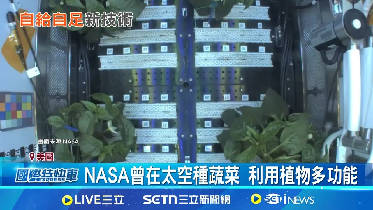 節省太空飲食成本 科學家研發培養食品 宇宙飲食昂貴 科學家研究太空培育食物 NASA曾在太空種蔬菜 利用植物多功能 │記者 盧睿鋐│國際關鍵字20250501│三立iNEWS